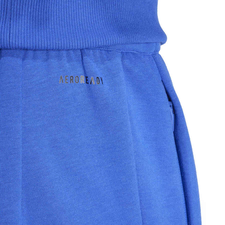 Pantalon survêtement Argentine Travel bleu 2024