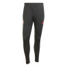 Pantalon survêtement Bayern Munich gris rouge