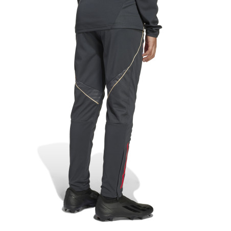 Pantalon survêtement junior OL gris or