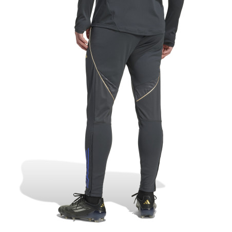 Pantalon survêtement OL gris or