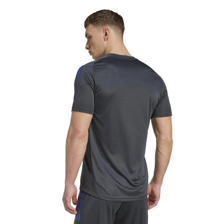 Maillot entraînement OL gris or