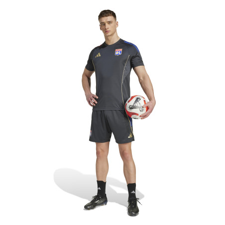 Maillot entraînement OL gris or