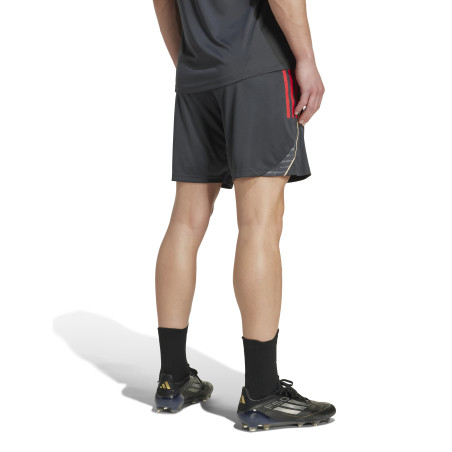 Short entraînement OL gris or