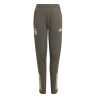Pantalon survêtement junior Real Madrid marron vert