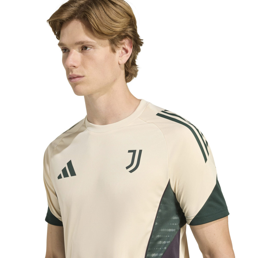 Maillot entraînement Juventus blanc vert