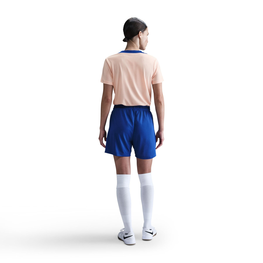 Maillot entraînement Equipe de France rose bleu