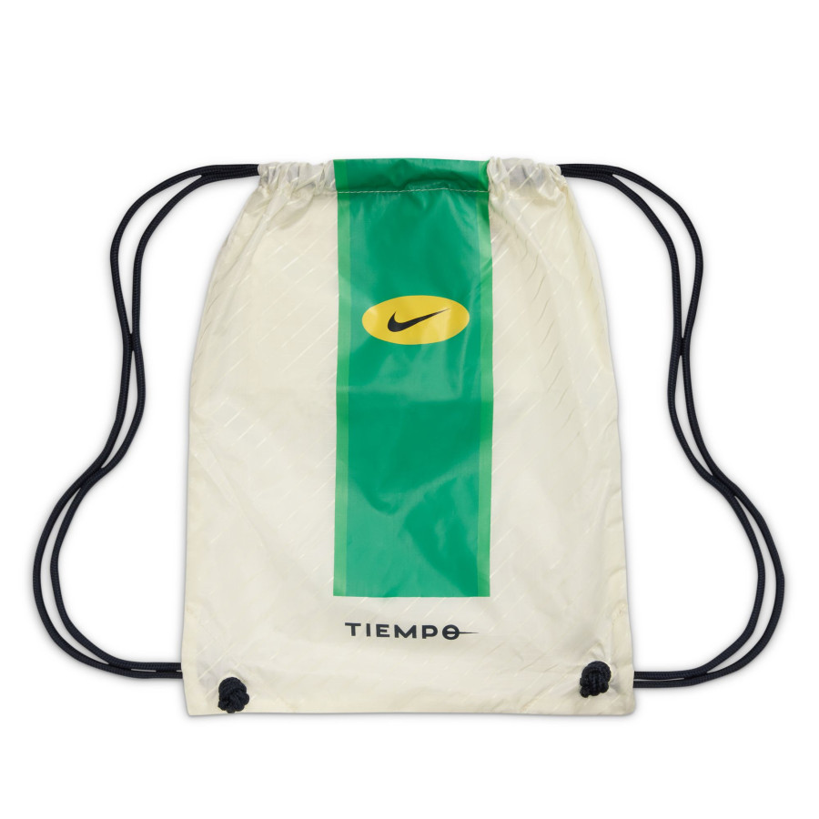 Nike Tiempo Legend 10 Elite FG vert blanc