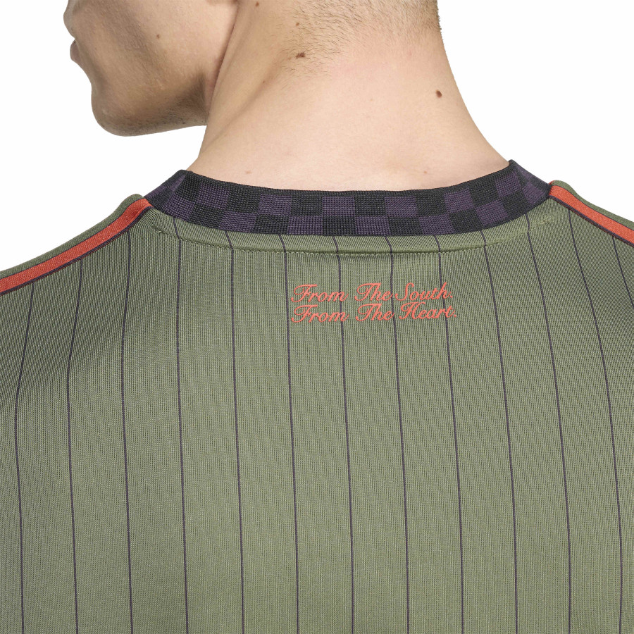 Maillot Bayern Munich Icon vert