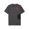 T-shirt Milan AC PUMATECH gris rouge