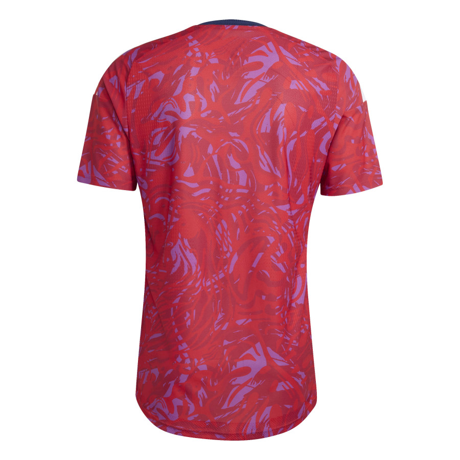 Maillot Costa Rica domicile authentique 2026