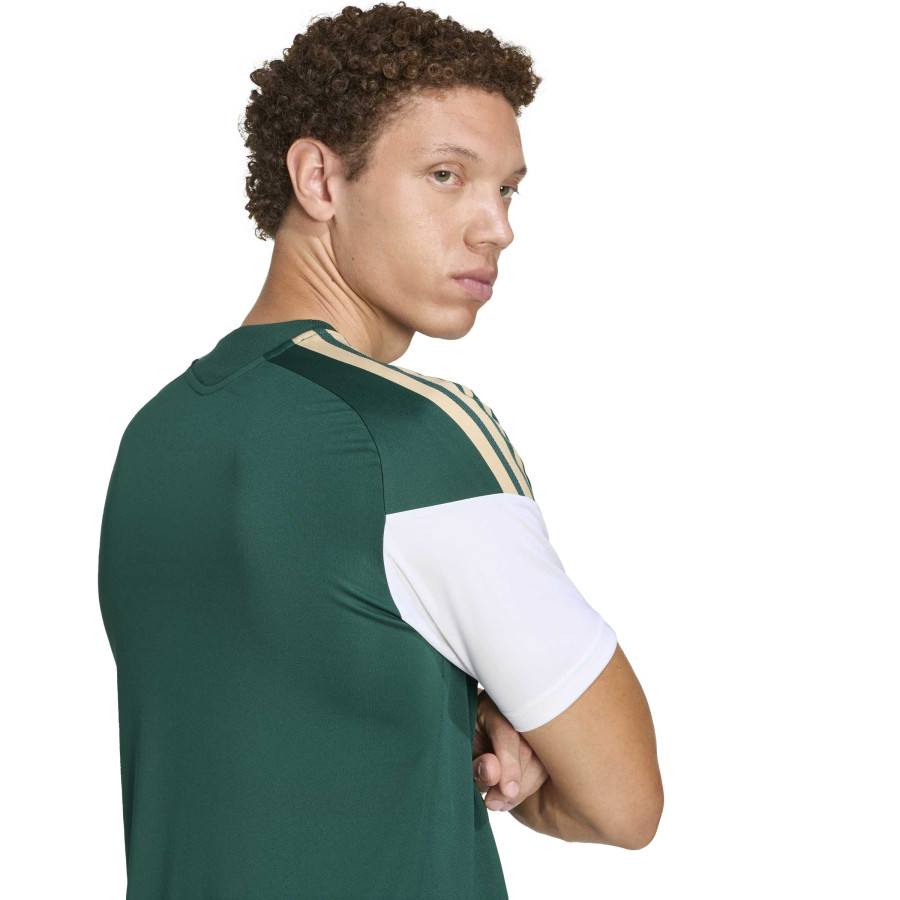 Maillot entraînement Italie vert blanc