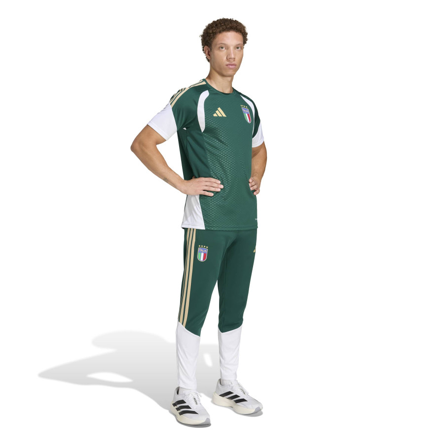Maillot entraînement Italie vert blanc