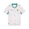 Maillot Sénégal domicile 2026