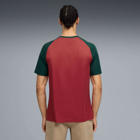 Maillot avant match Maroc rouge vert