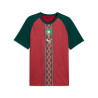Maillot avant match Maroc rouge vert