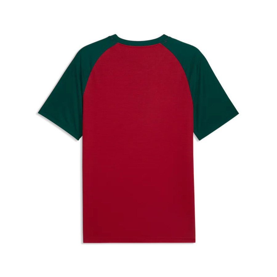 Maillot avant match Maroc rouge vert