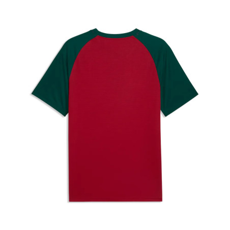 Maillot avant match Maroc rouge vert